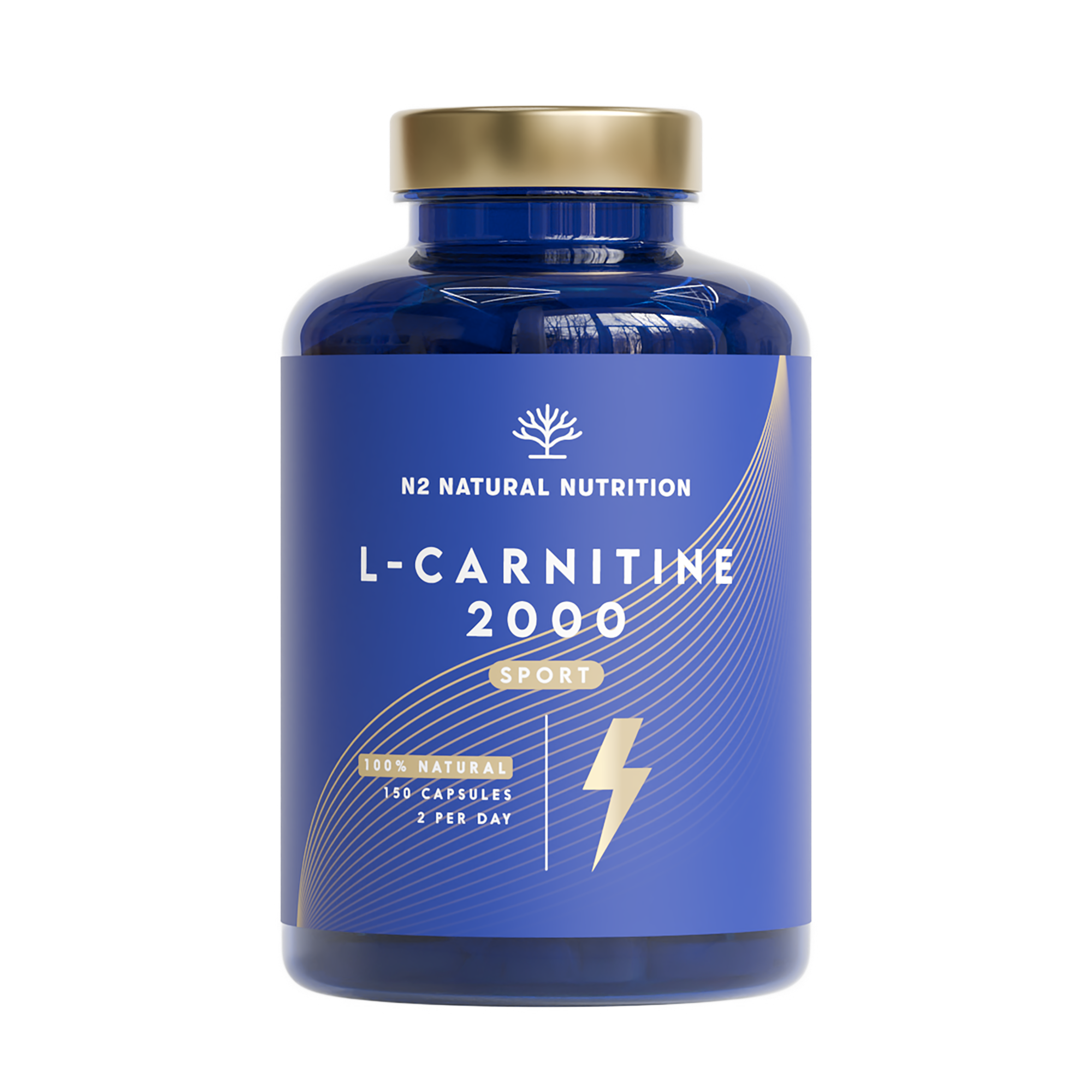 a quoi sert l carnitine Quand prendre de la L-Carnitine ? Inshape Nutrition Carnitine : Bienfaits, Proprits et