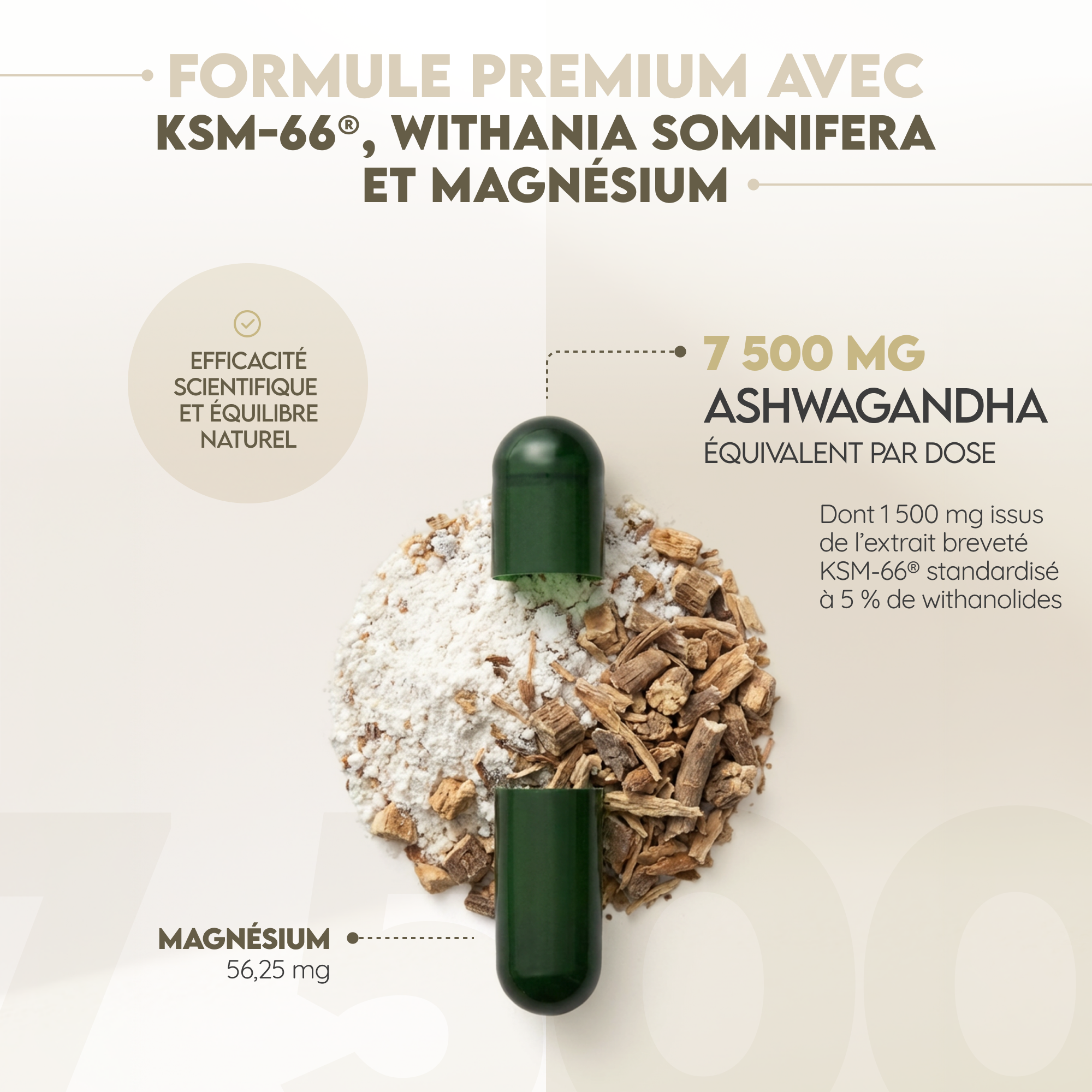 Ashwagandha KSM-66