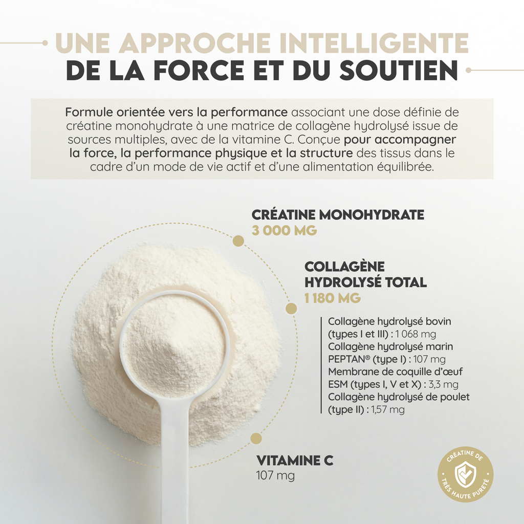 Créatine monohydrate et collagène