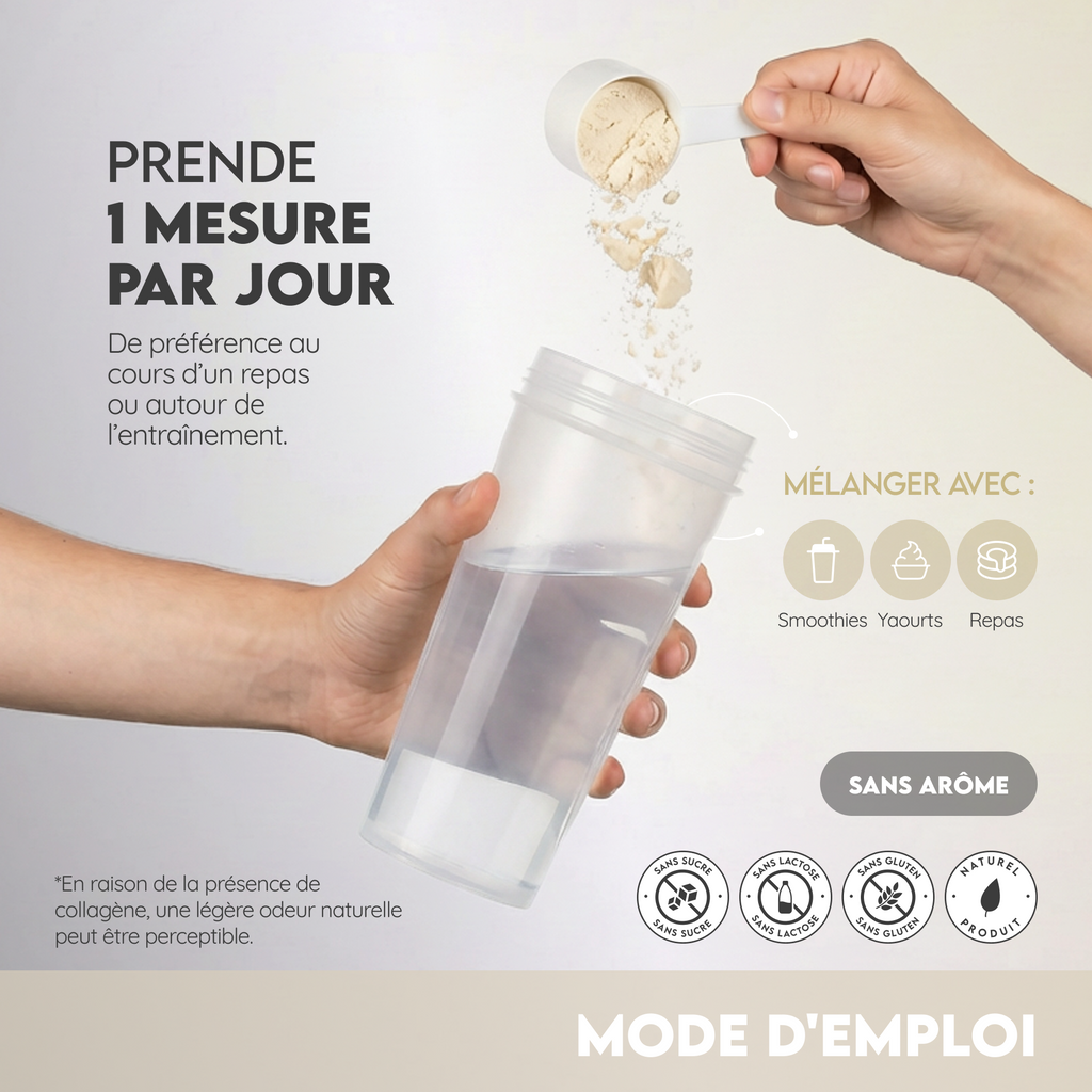 Créatine monohydrate et collagène