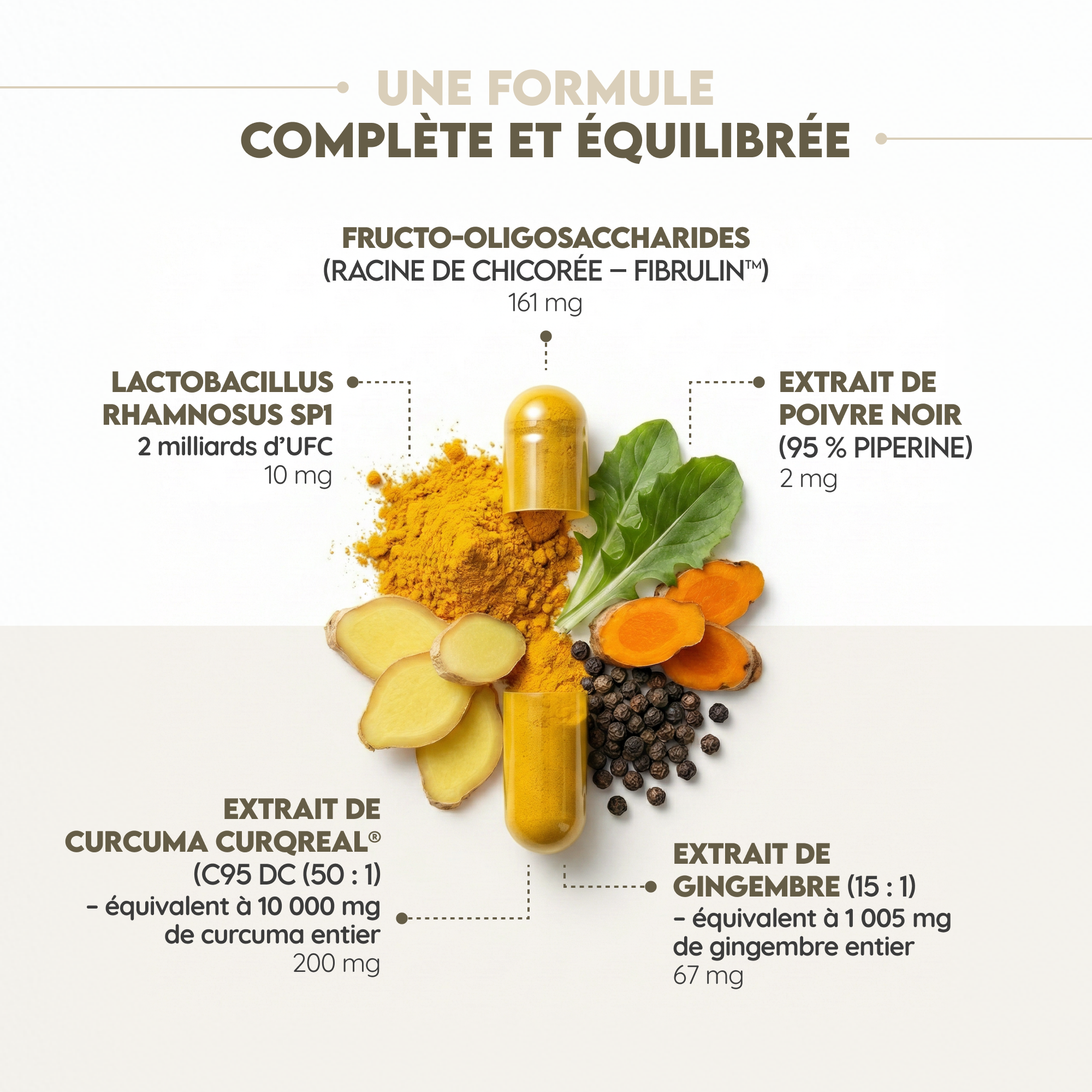 Curcumin Biotics