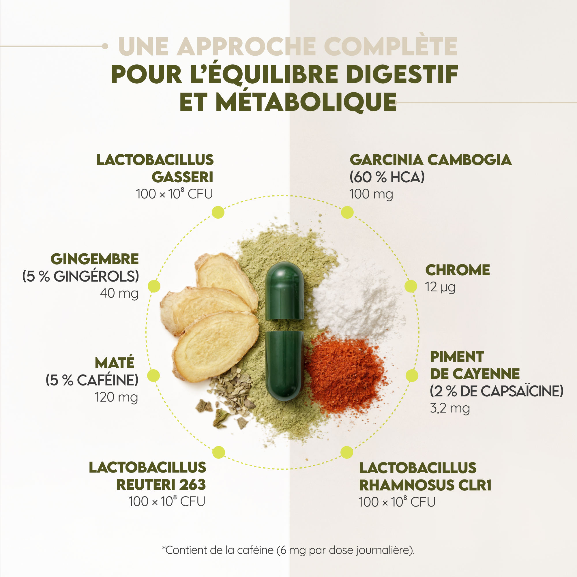 Flat Belly Biotics