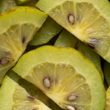 Garcinia Cambogia
