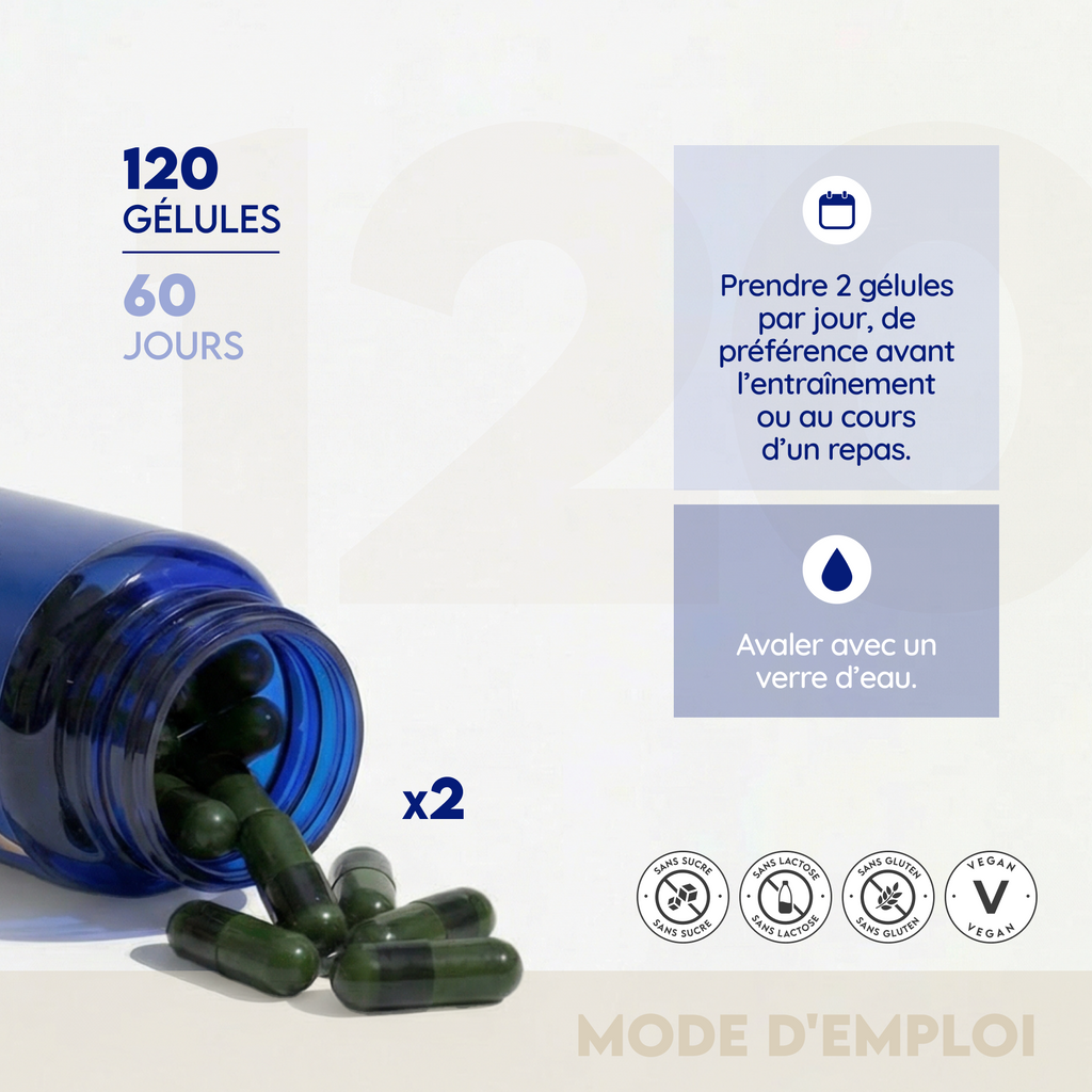 L-Carnitine 1500