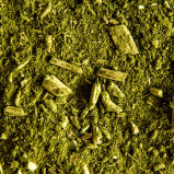 Maté