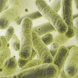 Mélange symbiotique