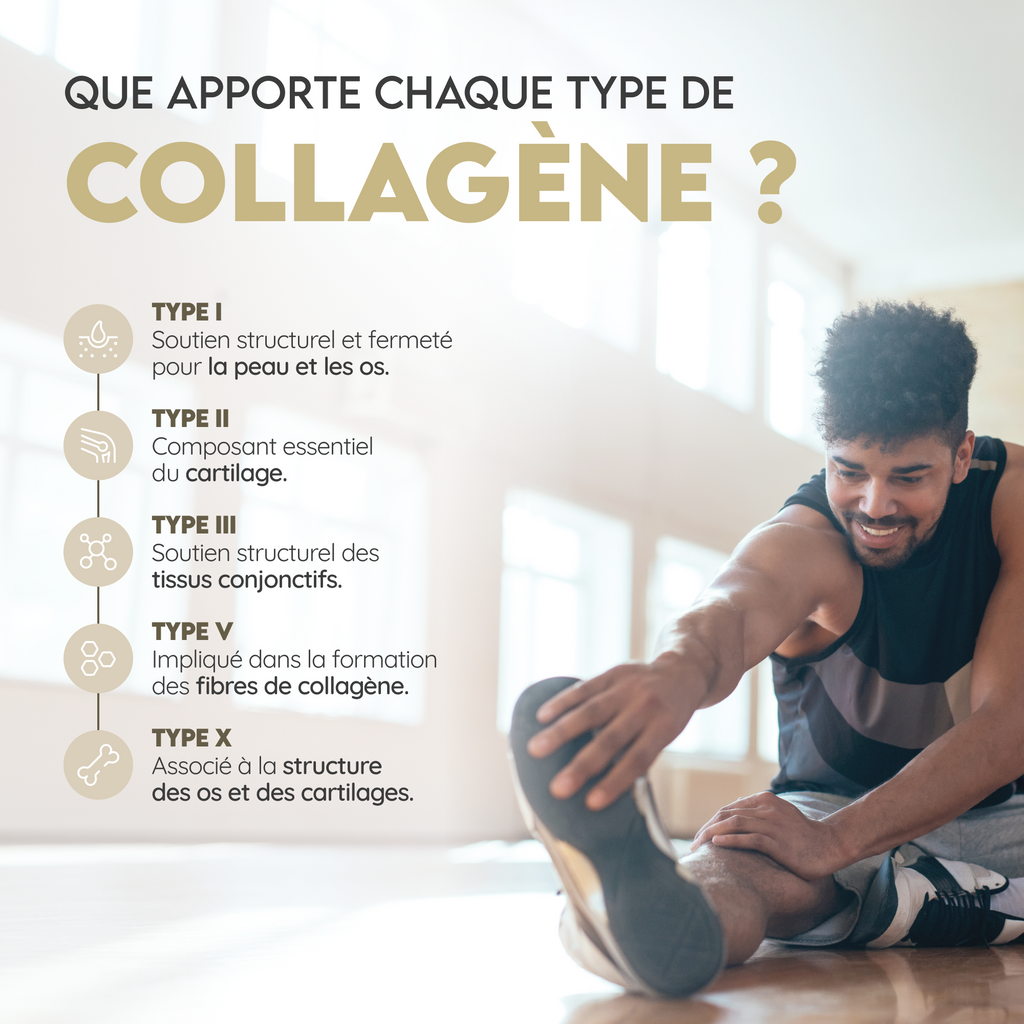 Multi Collagen
