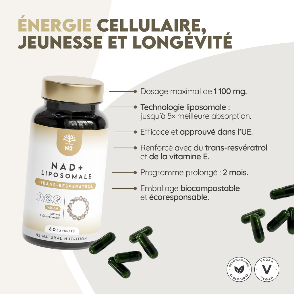 NAD⁺ Liposomal: Régénération Cellulaire Avancée