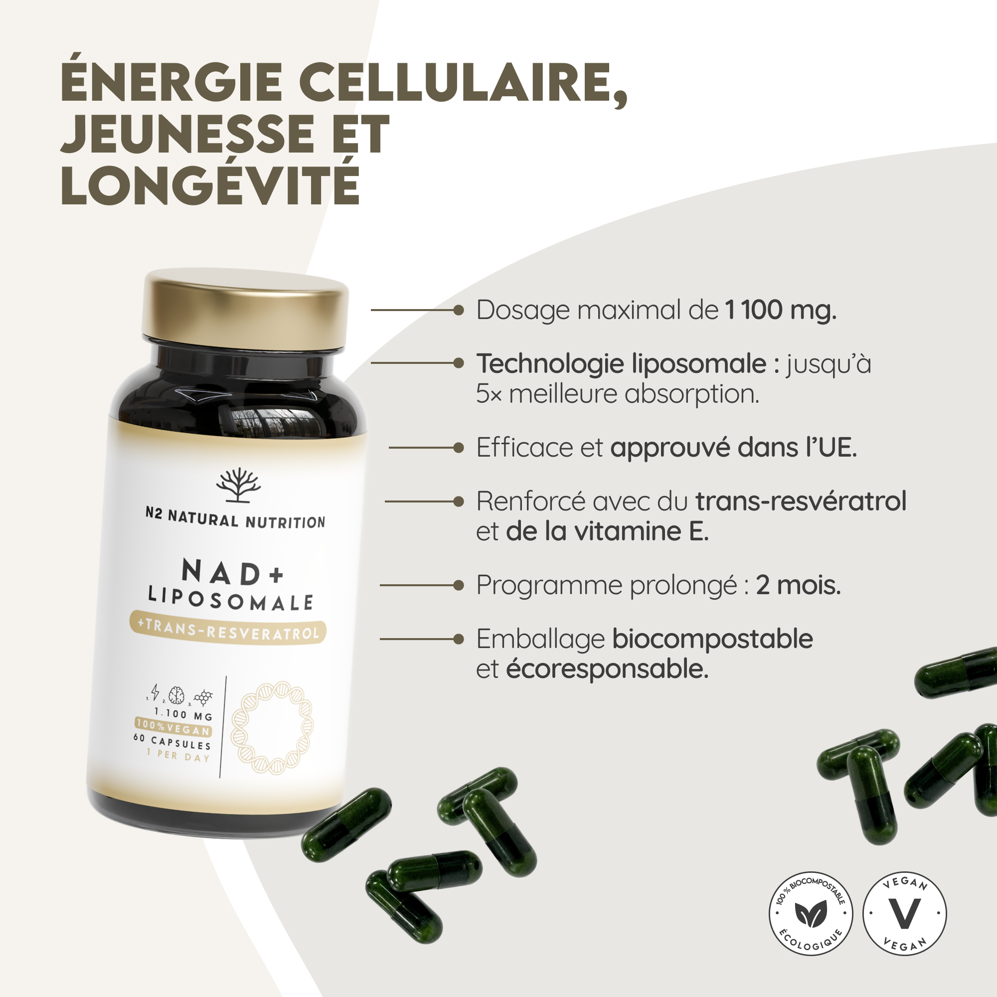 NAD⁺ Liposomal: Régénération Cellulaire Avancée