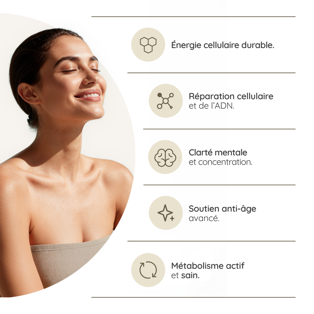 NAD⁺ Liposomal: Régénération Cellulaire Avancée