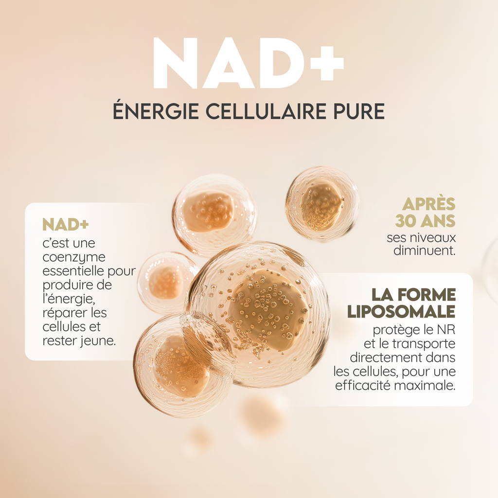 NAD⁺ Liposomal: Régénération Cellulaire Avancée