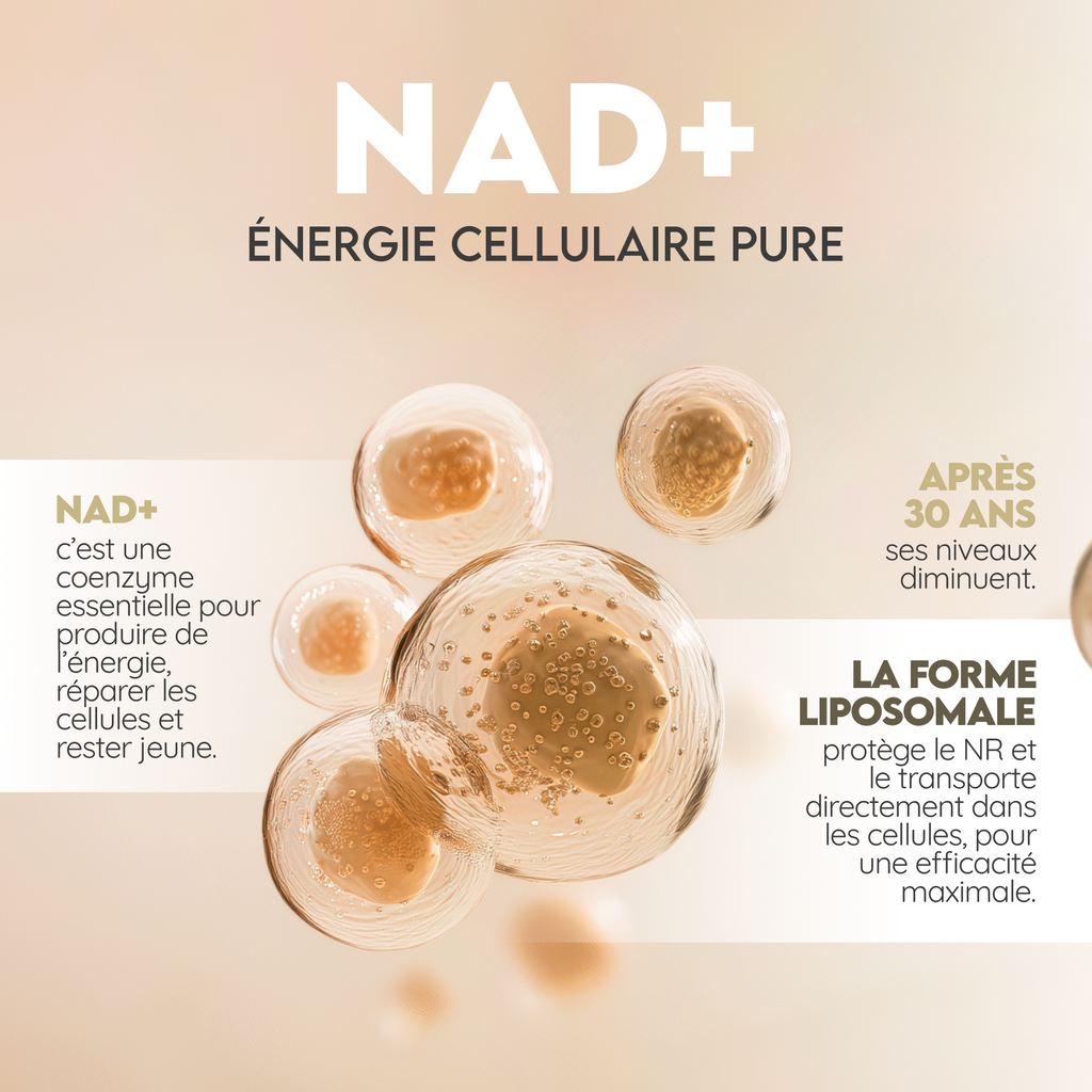 NAD⁺ Liposomal: Régénération Cellulaire Avancée