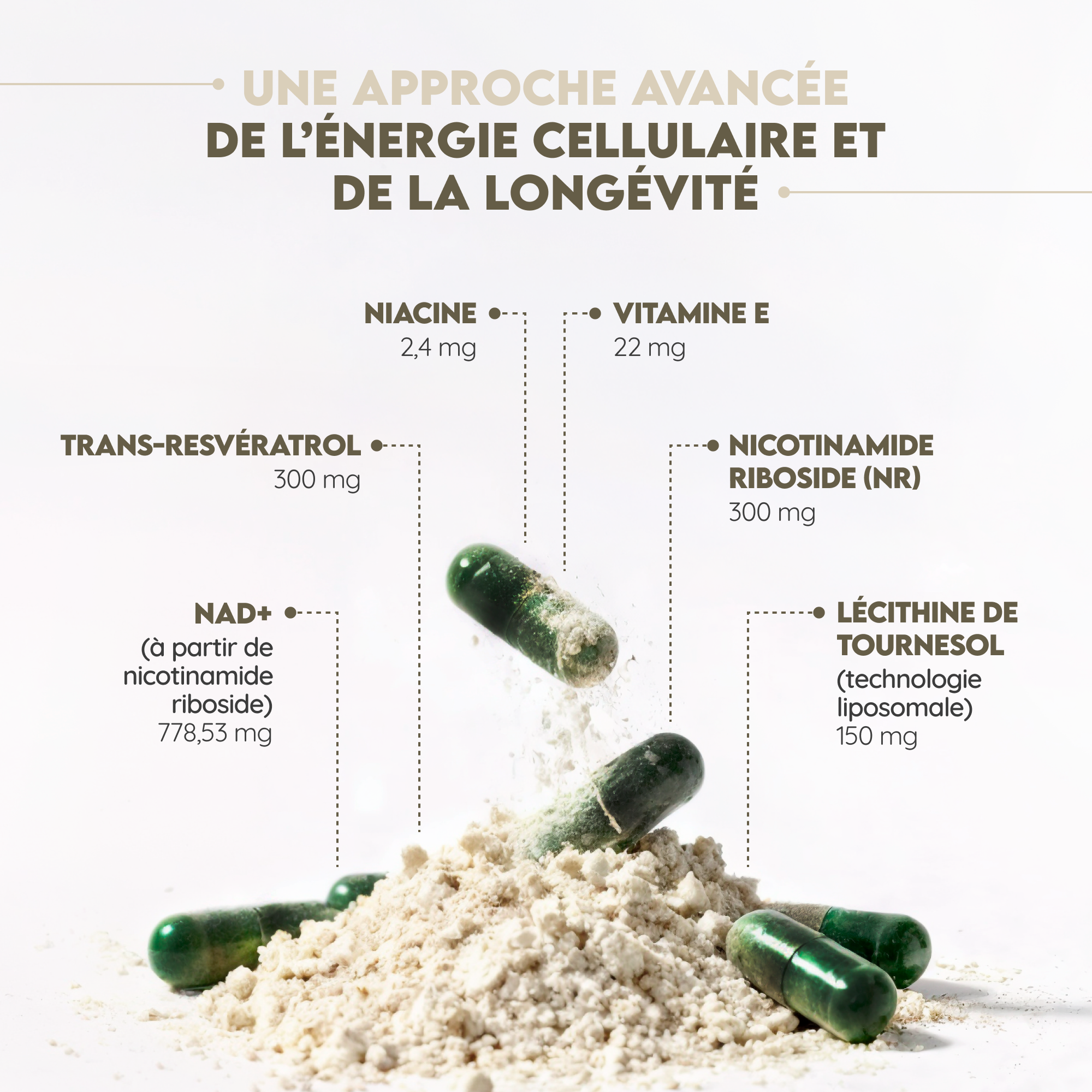 NAD⁺ Liposomal: Régénération Cellulaire Avancée