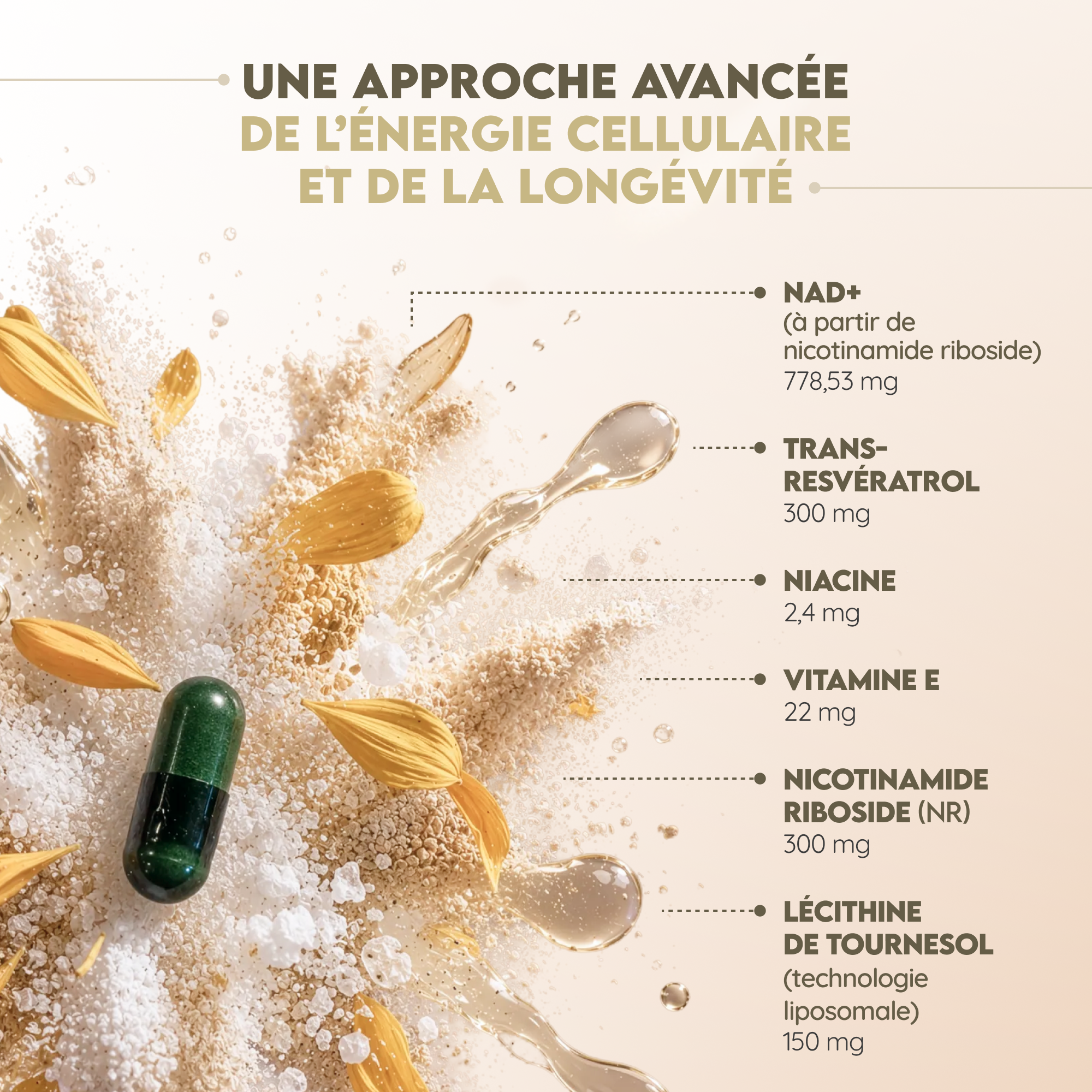 NAD⁺ Liposomal: Régénération Cellulaire Avancée