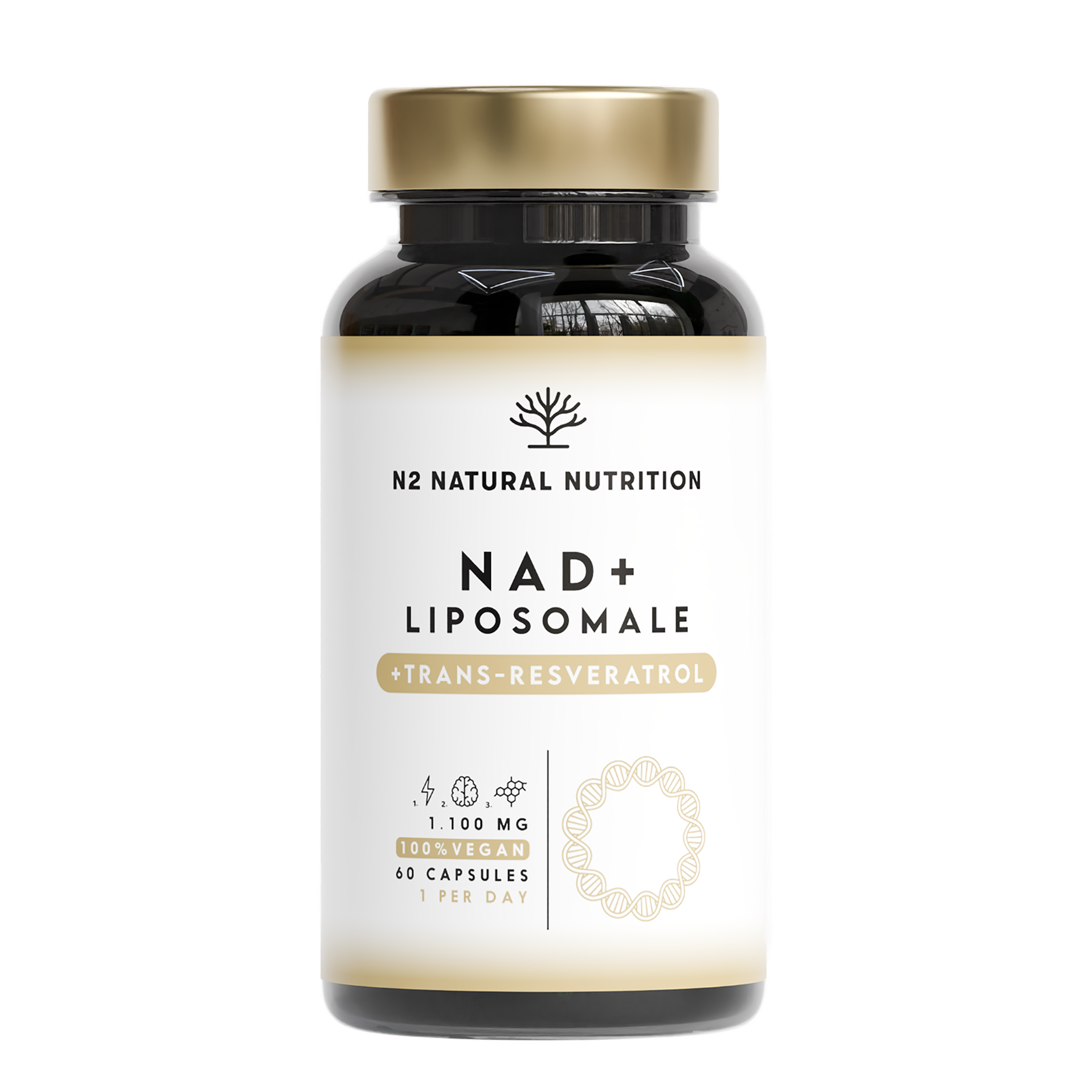 NAD⁺ Liposomal: Régénération Cellulaire Avancée