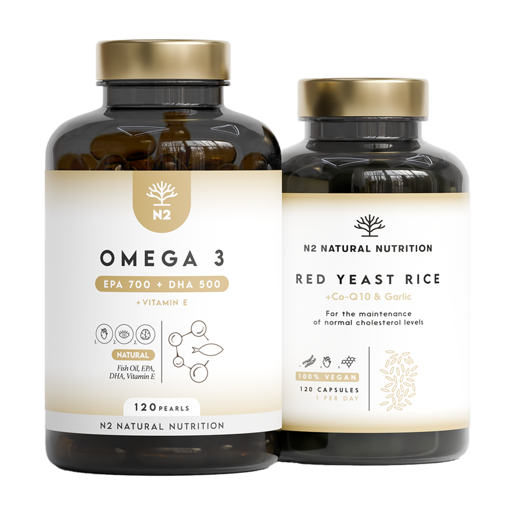 Traitement Cholestérol Maîtrisé