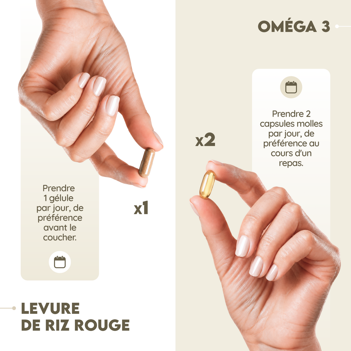 Traitement Cholestérol Maîtrisé