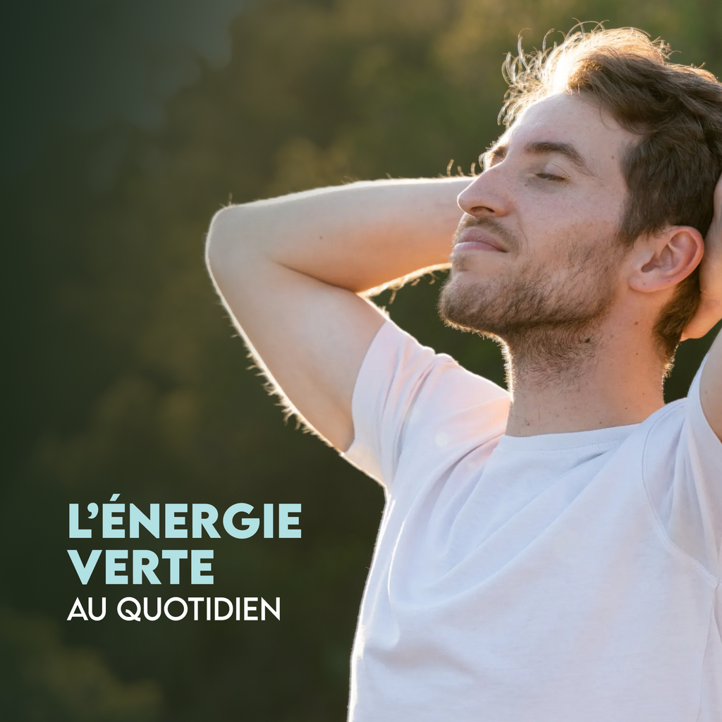 Spiruline avec chlorella