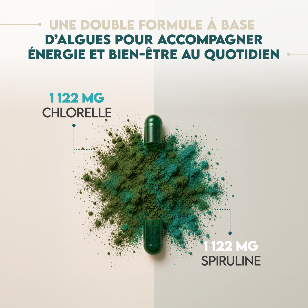 Spiruline avec chlorella