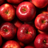 Vinaigre de cidre de pomme